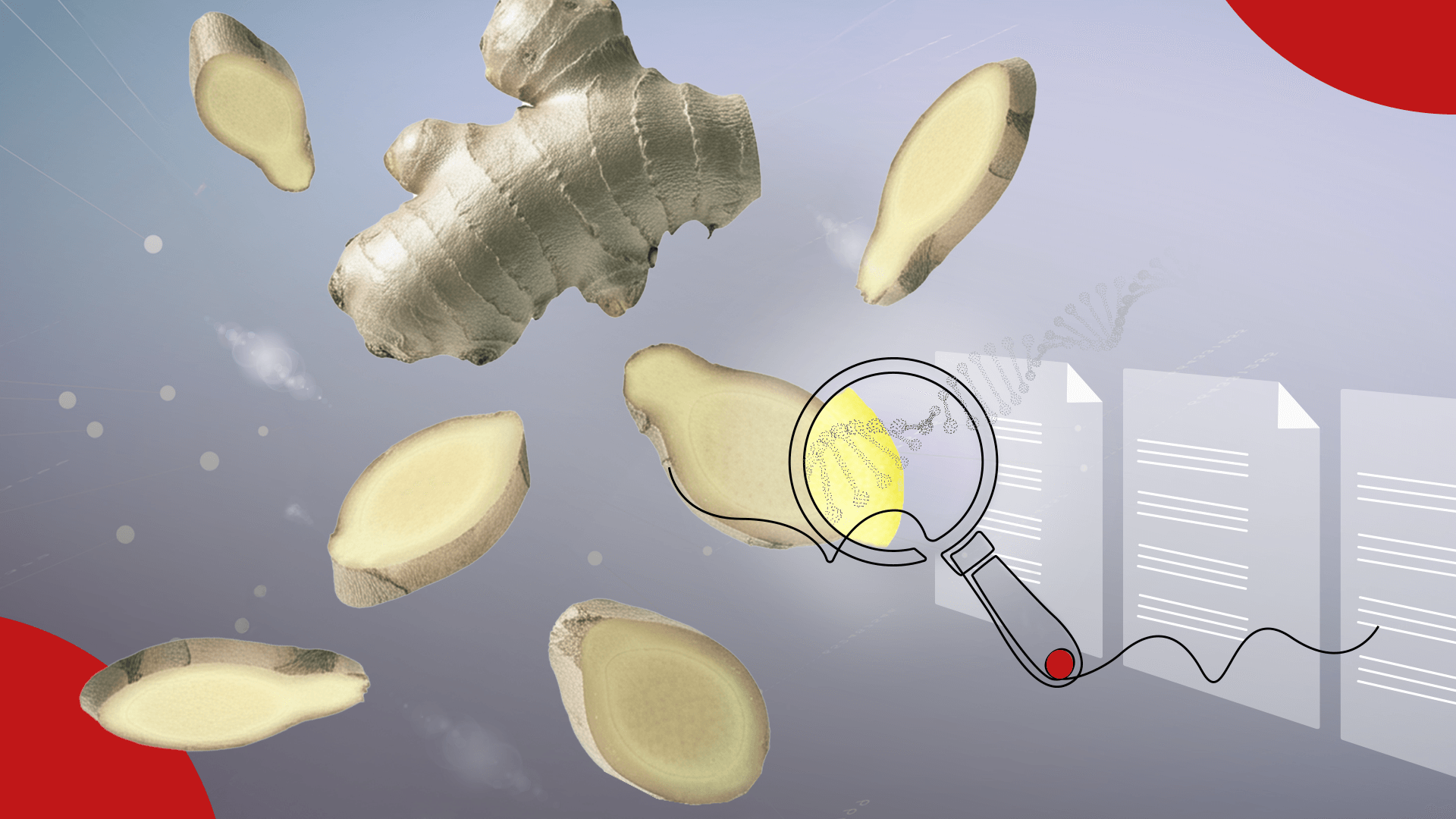 From Theory to Practice: AI in Biomedical Data Extraction