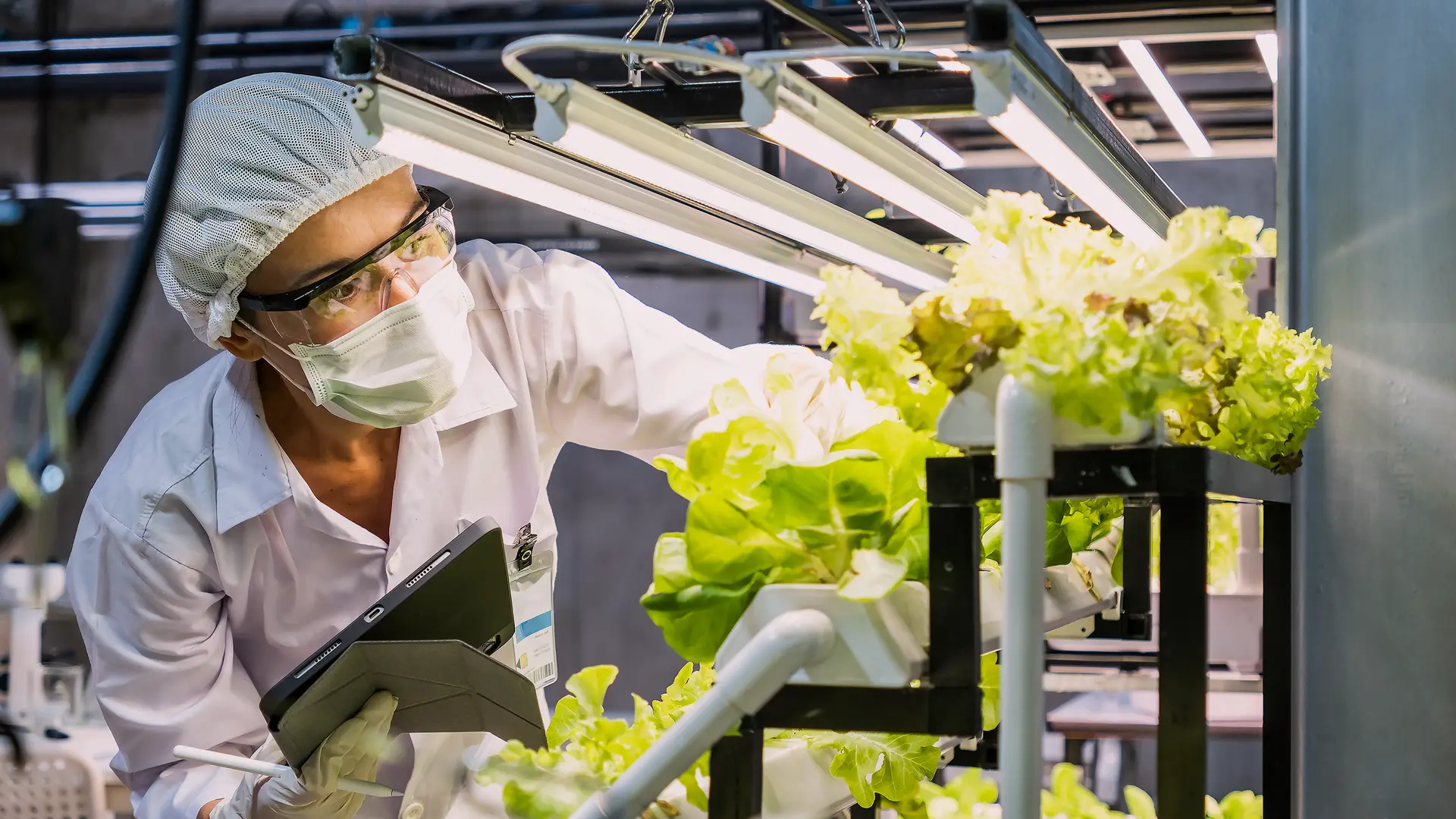 AI Meets Food Innovation: Highlights from the AI for Food Product Development Symposium