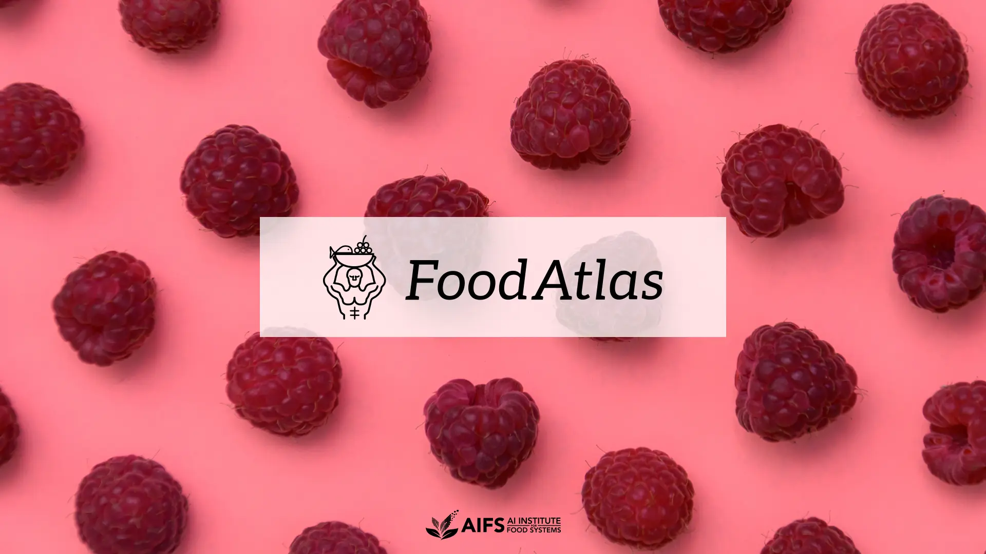 What s in the food I ve eaten today? Meet the AI that has the answer