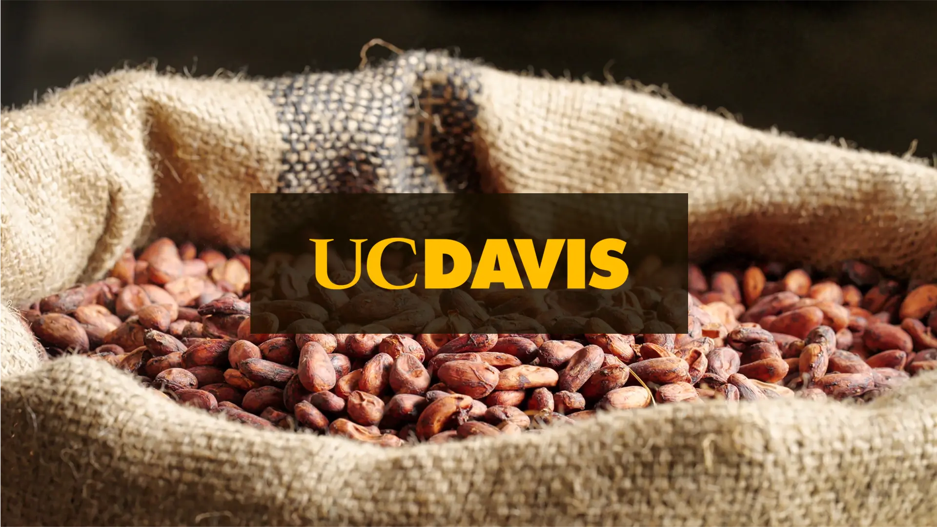 The hidden complexity of food: Mapping the  Dark Matter  of nutrition