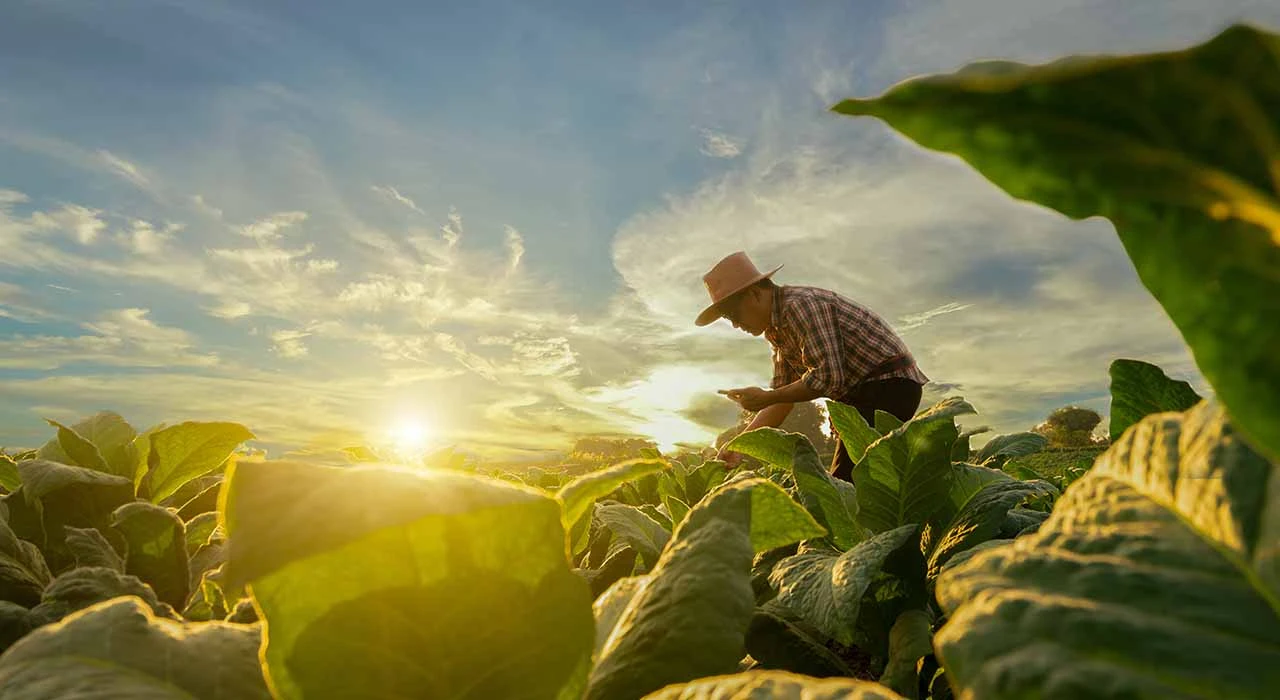 Ilias Tagkopoulos to lead the USDA AI Institute for Next-Gen Food Systems