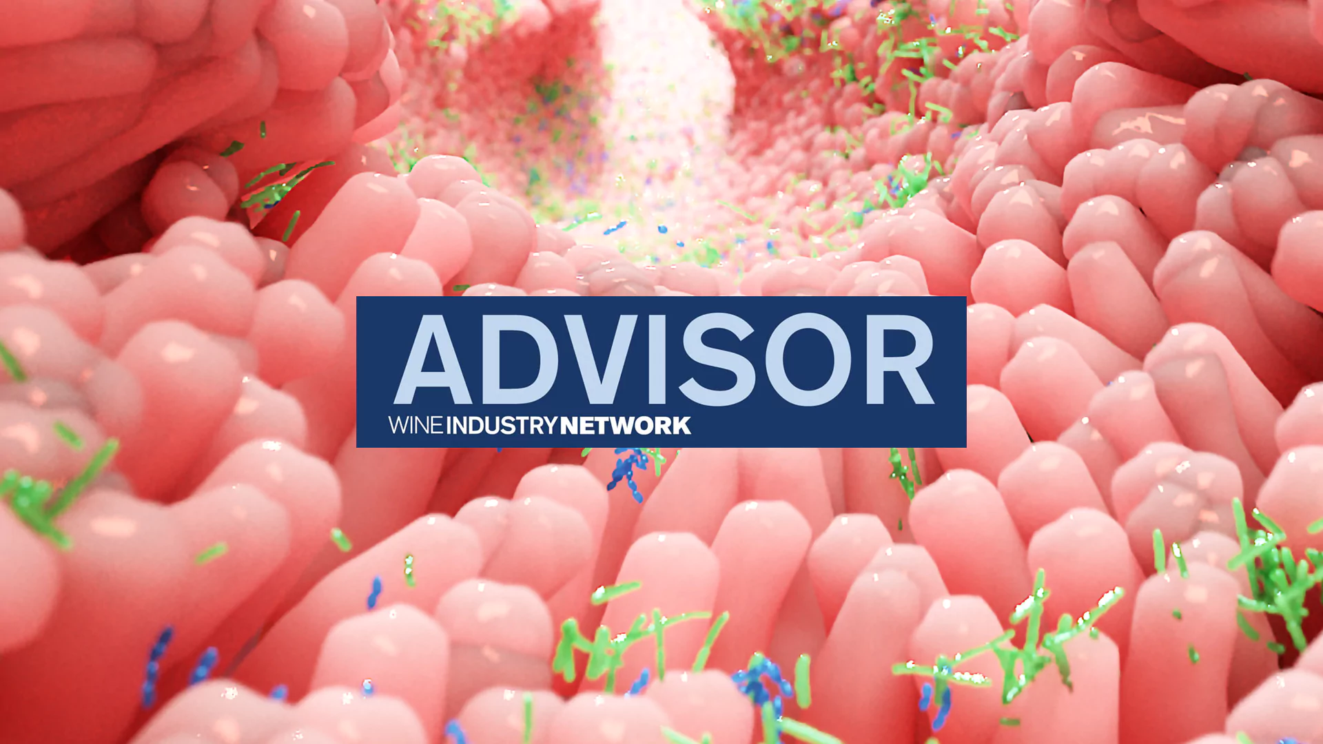 In the news: AI Reveals Powerful Gut Health Benefits from Upcycled Chardonnay Wine Grapes