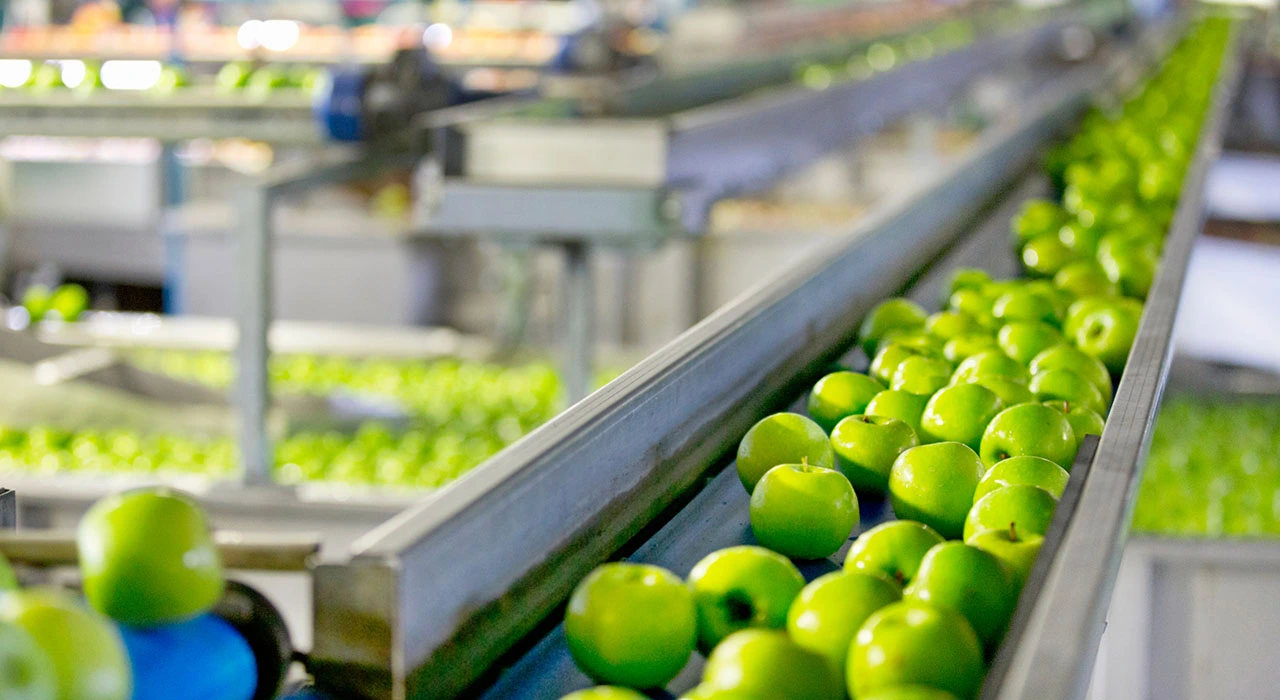 Food Processing and Distribution in the Era of AI