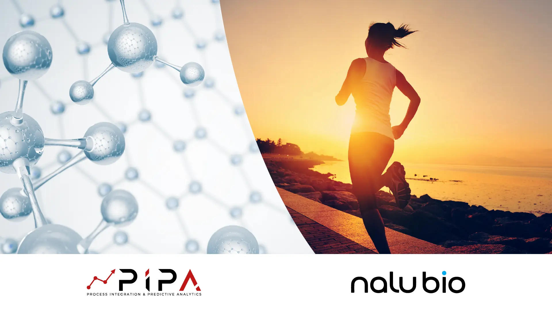 Nalu Bio and PIPA Bring Cannabinoid Combinations To CPG Brands in First-Of-Its-Kind Partnership Powered by AI