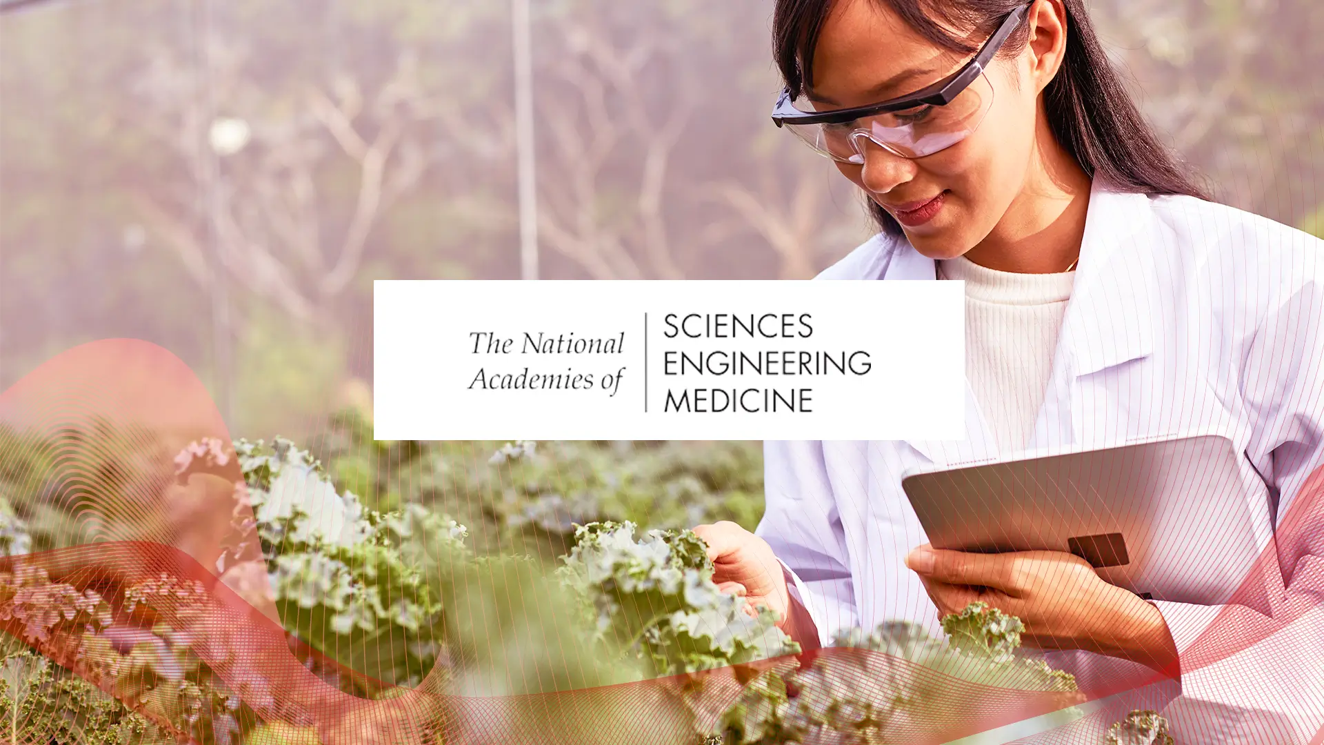 AI for Evidence Synthesis  &nbsp;Generation in Food/Nutrition Science: National Academies Experts Meeting