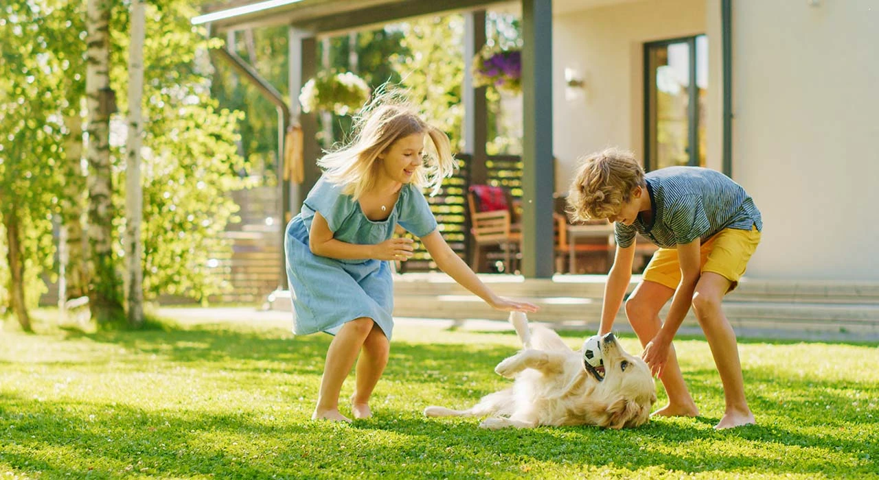 PIPA, Mars Petcare design early prediction model for canine chronic kidney disease