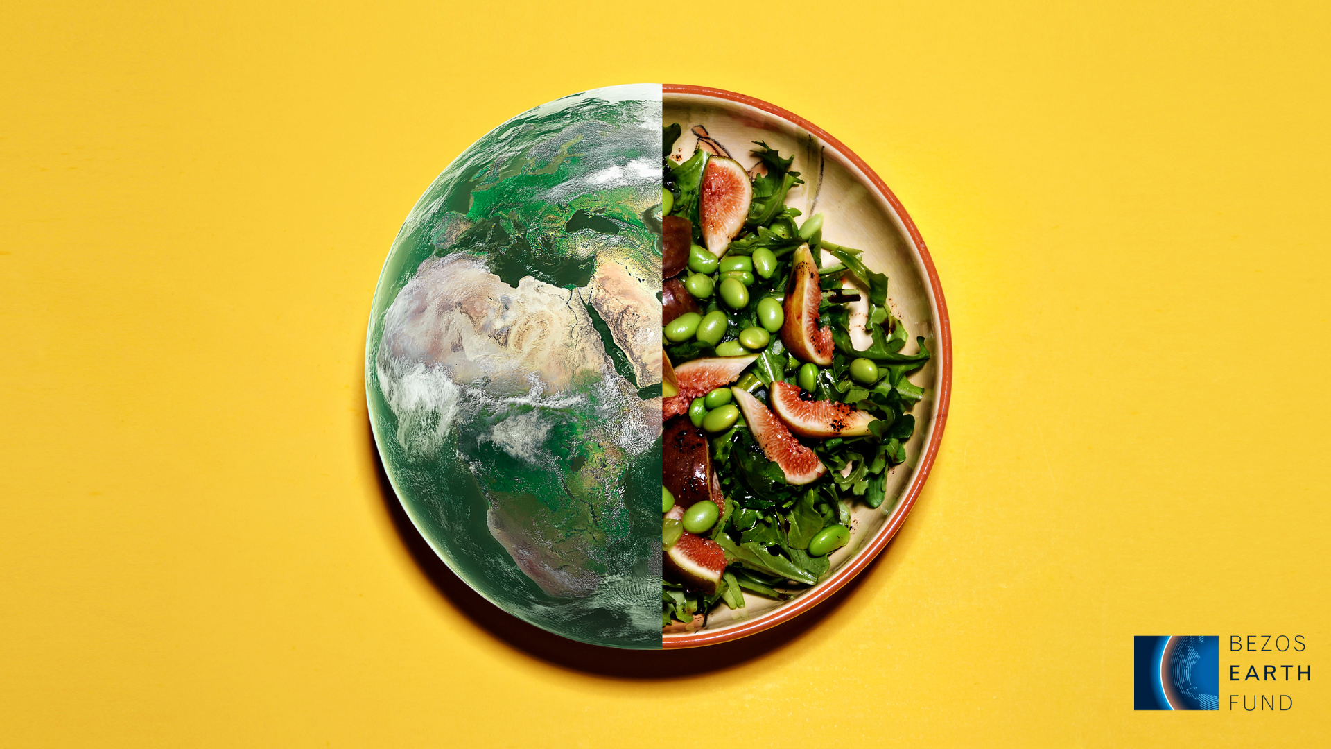 PIPA and partners receive $2 million Bezos Earth Fund award for AI technology on sustainable food formulation